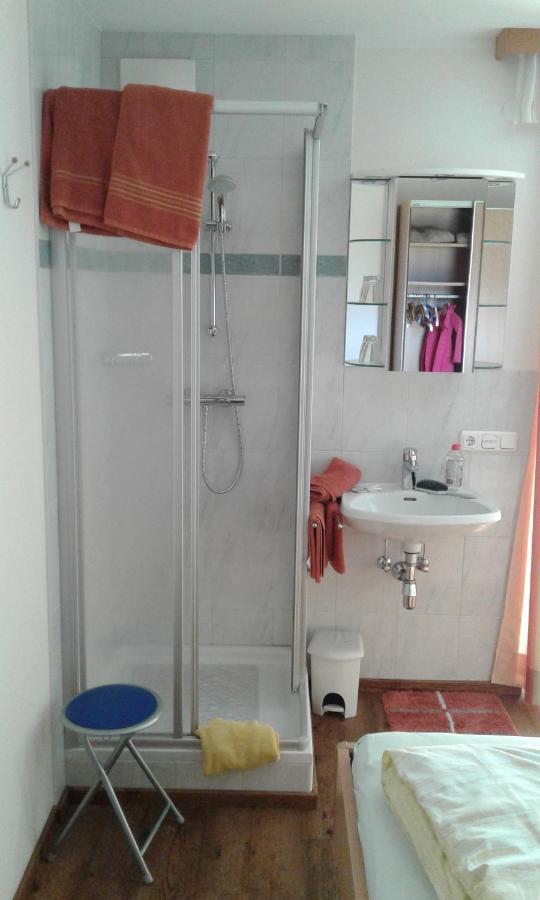 Appartment Steger Klara Mittersill Luaran gambar